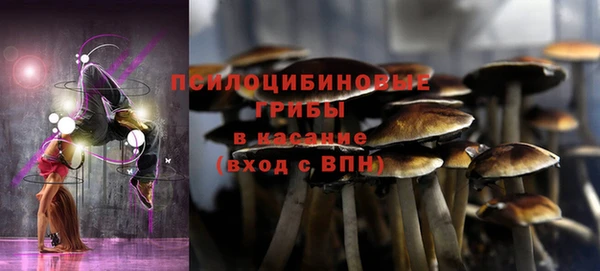 кокс Алзамай