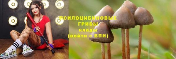ПСИЛОЦИБИНОВЫЕ ГРИБЫ Алексеевка