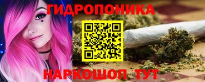 прущие грибы Балаково