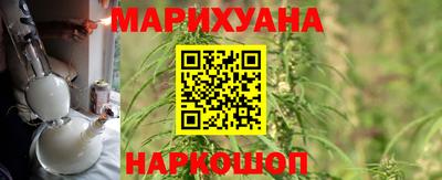 прущие грибы Балаково