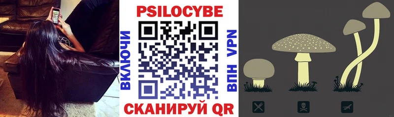 OMG онион  Гусь-Хрустальный  Псилоцибиновые грибы прущие грибы 