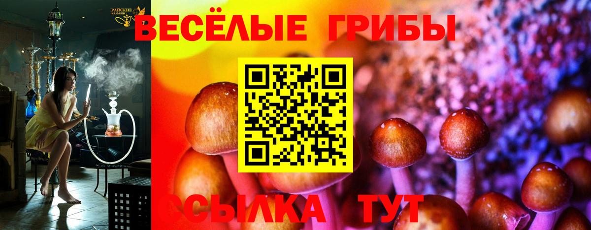 Гусь-Хрустальный  Галлюциногенные грибы прущие грибы  Вход с VPN 