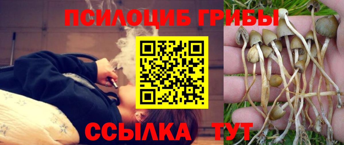 Галлюциногенные грибы мицелий Гусь-Хрустальный